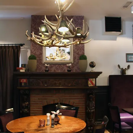 Herberg De Zwaan 3* Hedel